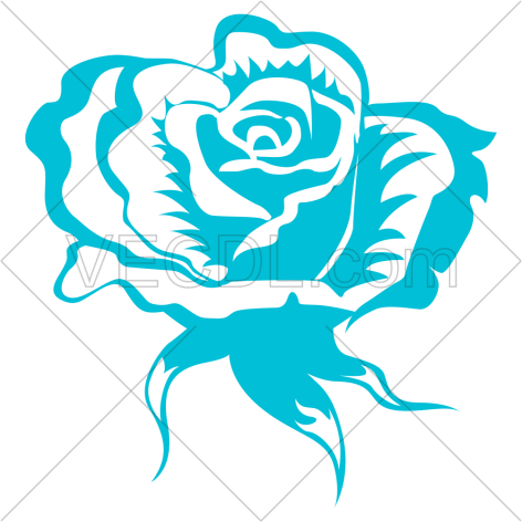 دانلود وکتور عکس و طرح گل رز باز شده